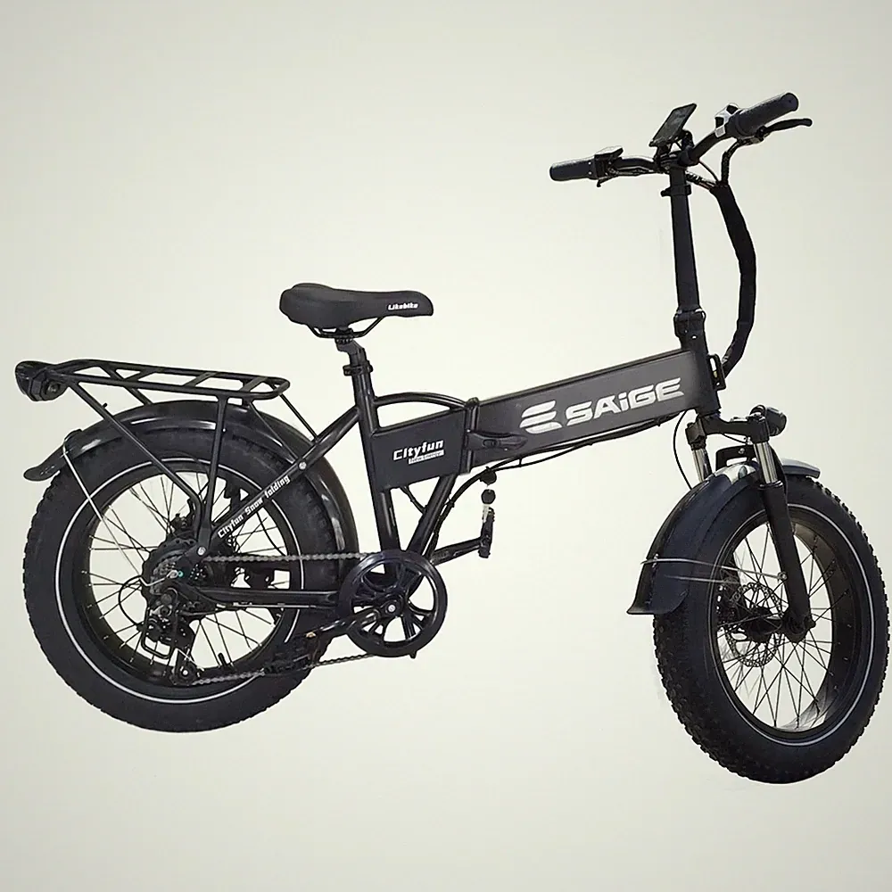 1500W Peak Motor Folding City bike 20" Tire Electric Bicycle 48V 15Ah for Adults